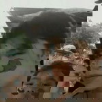 บัวลอยไข่หวาน ไม่ใส่น้ำตาลไม่ใส่กะทิ profile icon