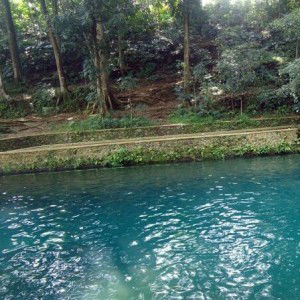 damai Indonesiaku profile icon