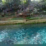 damai Indonesiaku profile icon