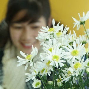 hạnh điệp le profile icon