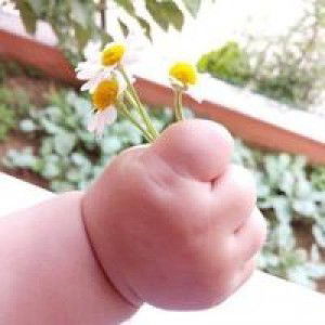 Nur Indah Gebi profile icon