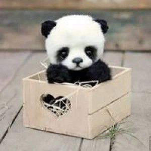 Dhalia Asyafi profile icon