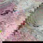 Tiah Aristia profile icon