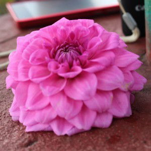 Desi Kumalasari profile icon