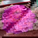 Desi Kumalasari profile icon