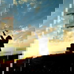 Denis Fras profile icon