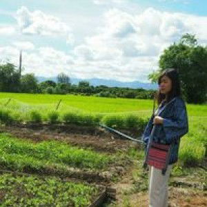 Dow Natamon profile icon