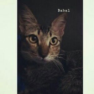 Nurul Zahra Alifa profile icon