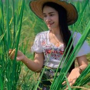 Noo Khaohom profile icon