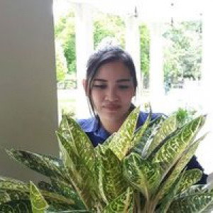 Ornatcha Cheardchai profile icon