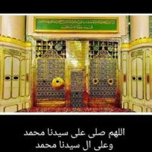 nor ainah profile icon