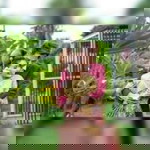 ลลิตา พงษ์ประเทศ profile icon