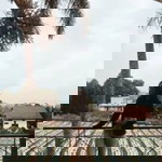 Ria Agustin profile icon