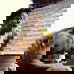 Boonchu Tanti profile icon