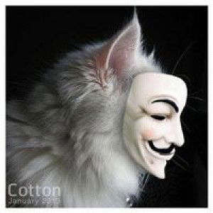 Jirayu Sripratoom profile icon