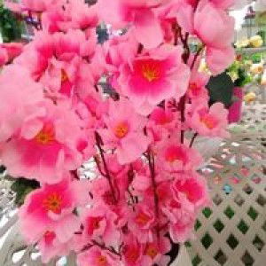 Real siti Maryam profile icon