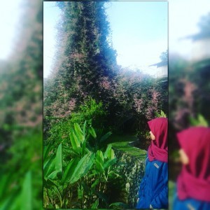 Dini Eka profile icon