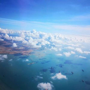 AFIA Kin profile icon