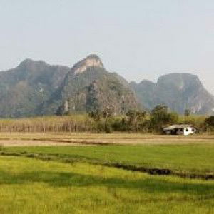 Missis Lfc profile icon