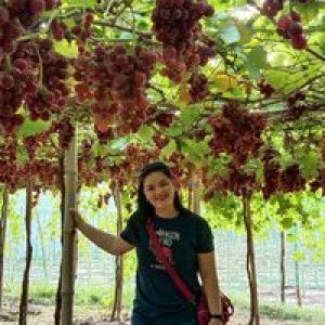 Laarnie Evangelista profile icon