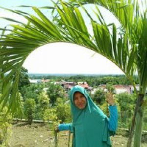 Husni Tahir profile icon