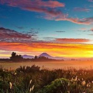 Siti Mardiah Assholahuddin profile icon