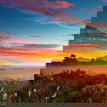 Siti Mardiah Assholahuddin profile icon