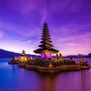 Winda Yuniharti profile icon