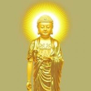 Duyên Phổ profile icon