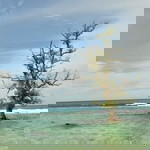 mawar boedisya profile icon