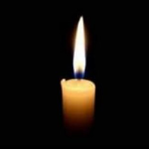 Joana Lyn Veterosnom profile icon