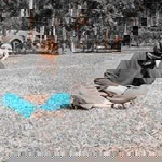 Novita Indriani profile icon