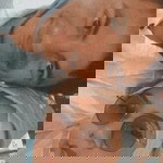 Noorud Deen profile icon