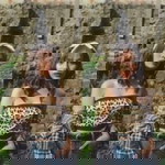 Eccay Reyes profile icon