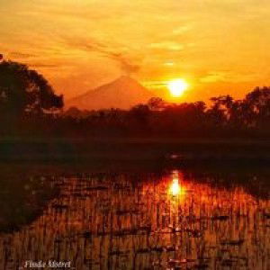 Findayani profile icon