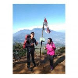 Nur Handayati profile icon