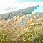 Nonthakron Damapong profile icon