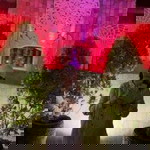 Cindy Pelealu profile icon