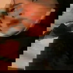 Meqcek Pandock II profile icon