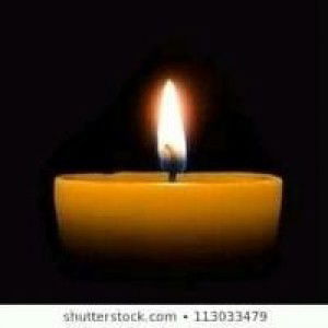 Selje Indagacan profile icon