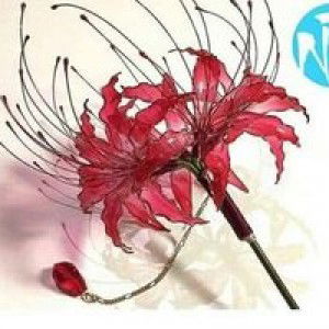 Đoàn Tiệp profile icon