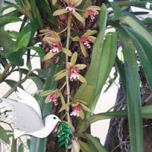 Hưng Đăng Hưu Khanh profile icon