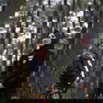 Ibnu Hajar Al Haitami profile icon