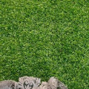 Ass Atikah profile icon