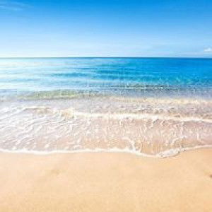 Rista Raffa Raffi profile icon