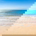 Rista Raffa Raffi profile icon