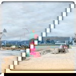 Anhy Asriani profile icon