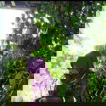 Yuu Nee profile icon