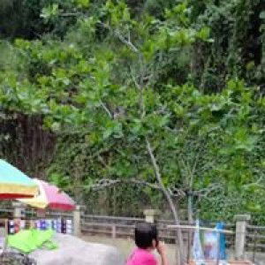 Puteri M Raqilla Wildad profile icon