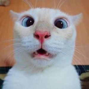 Hương Quê profile icon